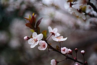 《博德之门3》总监透露：拉瑞安新作将带来超多乐趣